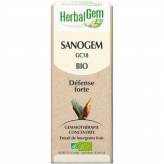 Sanogem Spray - Défense - 10 ml Bio - Herbalgem - GC18 - Gemmothérapie - 2