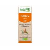 Energem - Energie et vitalité - Spray 10 ml Bio - Herbalgem - <p><span>Synergie de bourgeons - Stress - Energie mentale et physi