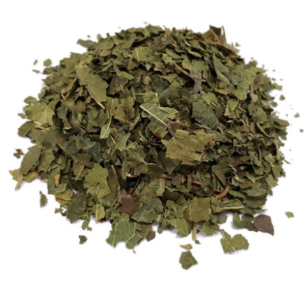 Mûrier noir - Tisane Morus nigra  - Feuille coupée Bio - Plantes médicinales en vrac - Tisanes de plantes simples - 1