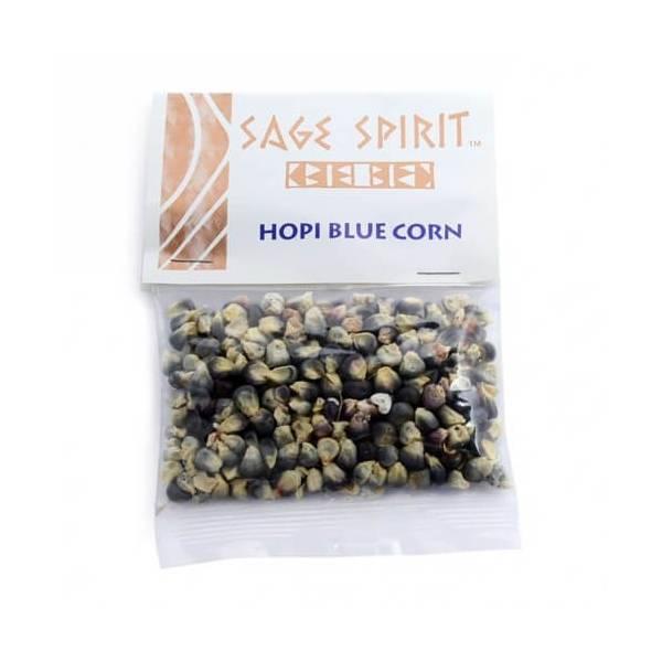 Blue corn +/- 28 gr - Sage Spirit - 1 - Herboristerie du Valmont