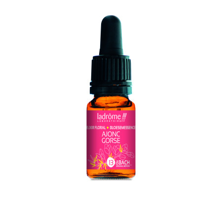 Gorse 10 ml - N°13 - Fleur de Bach Bio - Ladrôme - Les Fleurs de Bach Original - 1 Gorse 10 ml - N°13 - Fleur de Bach Bio - Ladrôme - Les Fleurs de Bach Original - 1