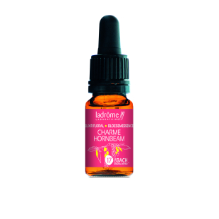 Hornbeam 10 ml - N°17 - Fleur de Bach Bio - Ladrôme - 1 - Herboristerie du Valmont Hornbeam 10 ml - N°17 - Fleur de Bach Bio - Ladrôme - 1 - Herboristerie du Valmont
