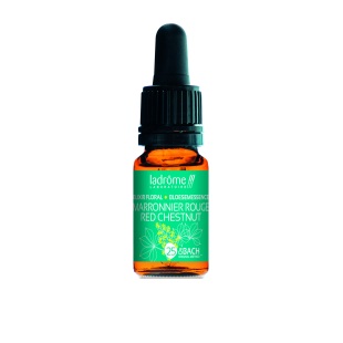 Red Chesnut 10 ml - N°25 - Fleur de Bach - Ladrôme - 1 - Herboristerie du Valmont Red Chesnut 10 ml - N°25 - Fleur de Bach - Ladrôme - 1 - Herboristerie du Valmont