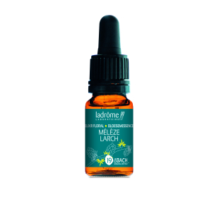 Larch 10 ml - N°19 - Fleur de Bach Bio - Ladrôme - 1 - Herboristerie du Valmont Larch 10 ml - N°19 - Fleur de Bach Bio - Ladrôme - 1 - Herboristerie du Valmont