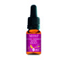 Walnut 10 ml - N° 33 - Fleur de Bach Bio - Ladrôme - Les fleurs de Bach Ladrome + - 1-Walnut 10 ml - N° 33 - Fleur de Bach Bio - Ladrôme
