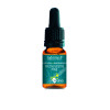 Pine 10 ml - N° 24 -  Fleur de Bach Bio - Ladrôme - Les fleurs de Bach Ladrome + - 1-Pine 10 ml - N° 24 -  Fleur de Bach Bio - Ladrôme