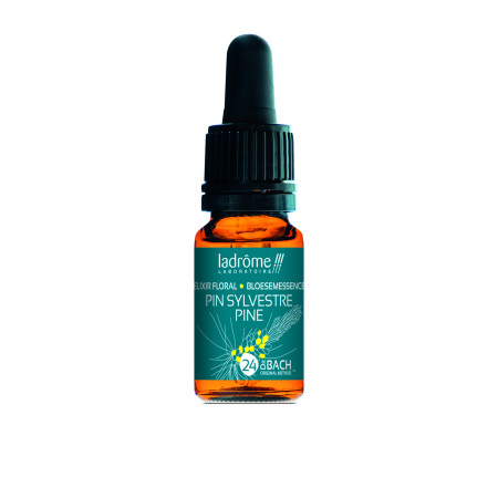 Pine 10 ml - N° 24 - Fleur de Bach Bio - Ladrôme - Les Fleurs de Bach Original - 1 Pine 10 ml - N° 24 - Fleur de Bach Bio - Ladrôme - Les Fleurs de Bach Original - 1