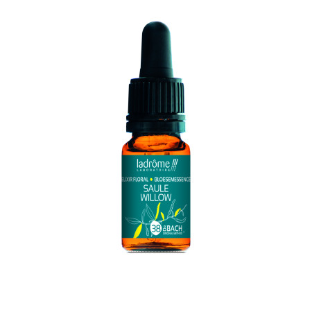 Willow 10 ml - N° 38 - Fleur de Bach Bio - Ladrôme - Les Fleurs de Bach Original - 1 Willow 10 ml - N° 38 - Fleur de Bach Bio - Ladrôme - Les Fleurs de Bach Original - 1