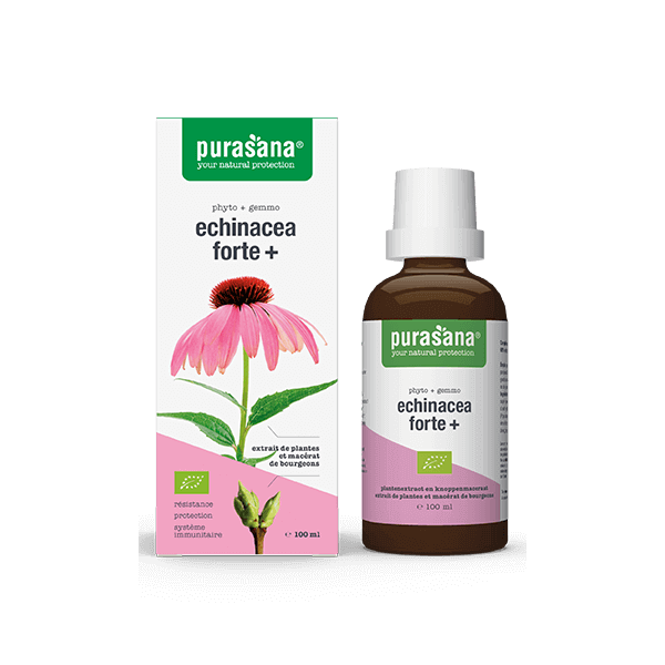 Echinacea Forte + Bio - Complexe Immunité Phyto+Gemmo 100 ml - Purasana - 1 - Herboristerie du Valmont