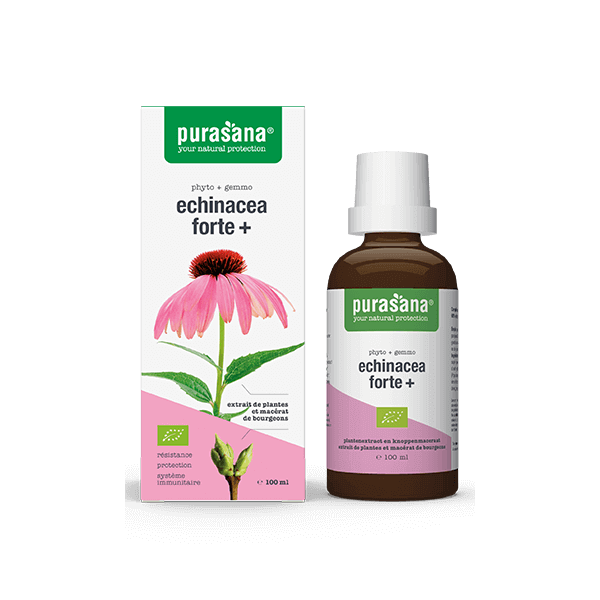 Echinacea Forte + Bio - Complexe Immunité Phyto+Gemmo 100 ml - Purasana - Teintures-mère - Extraits de plantes fraîches - 1