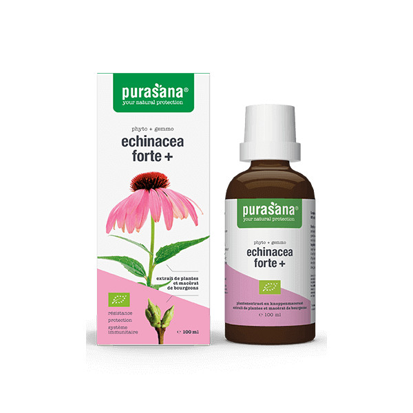 Echinacea Forte + Bio - Complexe Immunité Phyto+Gemmo 100 ml - Purasana - Teintures-mère - Extraits de plantes fraîches - 1