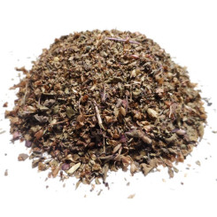 Infusion de Basilic Sacré Tulsi Bio - PC