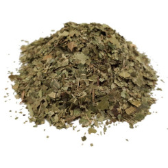 Infusion de Neem - FC