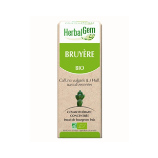 Bruyère bourgeon Bio - Calluna vulgaris Macérat - 50 ml - Herbalgem - 1 - Herboristerie du Valmont Bruyère bourgeon Bio - Calluna vulgaris Macérat - 50 ml - Herbalgem - 1 - Herboristerie du Valmont