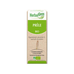 Prêle bourgeon Bio - Equisetum arvense Macérat - 30 ml - Herbalgem - Gemmothérapie - 2