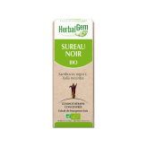 Sureau noir bourgeon Bio - Sambucus nigra Macérat - 50 ml - Herbalgem - Gemmothérapie - 2