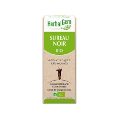 Sureau noir bourgeon Bio - Sambucus nigra Macérat - 50 ml - Herbalgem - Gemmothérapie - 2