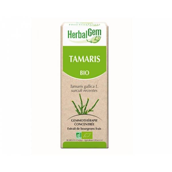 Tamaris bourgeon Bio -Tamarix gallica Macérat - 50 ml - Herbalgem - 1 - Herboristerie du Valmont