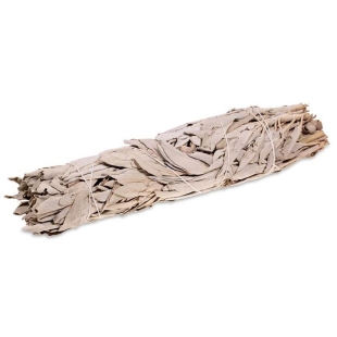Bâton de fumigation - Sauge blanche (Salvia apiana) +/- 70 gr - <p>Salvia Apiana du désert de Californie est le plus masculin de Bâton de fumigation - Sauge blanche (Salvia apiana) +/- 70 gr - <p>Salvia Apiana du désert de Californie est le plus masculin de