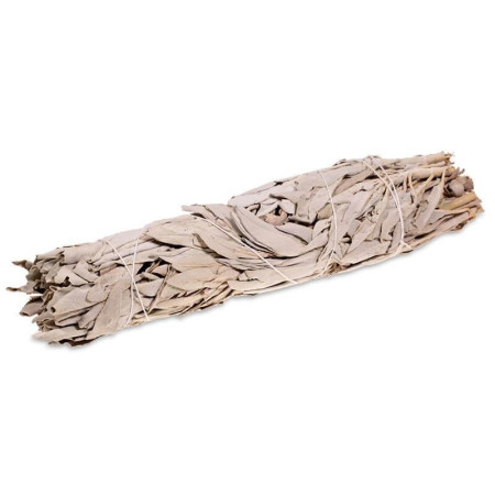 Bâton de fumigation - Sauge blanche (Salvia apiana) +/- 70 gr - Encens, Résines Traditionnelles & Fumigation - 1