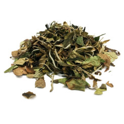 Thé blanc de Chine Bai Mu Dan BIO - Thés & Tisanes - 1