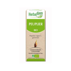 Peuplier bourgeon Bio - Populus nigra Macérat - 50 ml - Herbalgem - Gemmothérapie - 2