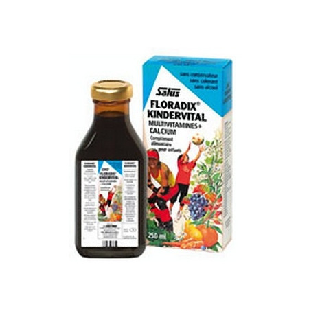 Floradix KinderVital 250 ml - Salus - Jus et gels de plantes à boire - 1