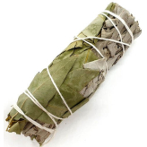 Bâton de fumigation - Sauge blanche et Eucalyptus +/- 20 g - Encens, Résines Traditionnelles & Fumigation - 1-Smudge stick - Witte salie en Eucalyptus +/- 20 g