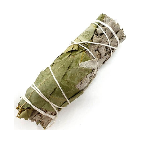 Räucherstäbchen – Weißer Salbei und Eukalyptus ca. 20 g – Weihrauch, traditionelle Harze & Räucherwerk – 1