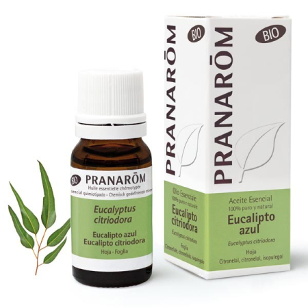 Huile essentielle - Eucalyptus citronné Bio 10 ml - Pranarôm - Toutes nos huiles essentielles de A à Z - 1