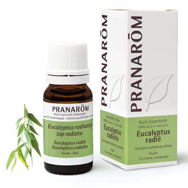 Huile essentielle - Eucalyptus radié 10 ml -  Pranarôm - Huiles essentielles unitaires - 1