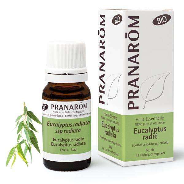 Huile essentielle - Eucalyptus radié 10 ml BIO - Pranarôm - Huiles essentielles unitaires - 1