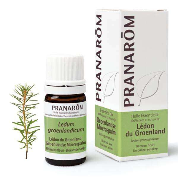 Huile Essentielle - Lédon du Groenland 5ml  - Pranarôm  - Huiles essentielles unitaires - 1