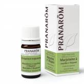 Huile Essentielle - Marjolaine à coquilles CT Thujanol 5 ml - Pranarôm - Huiles essentielles unitaires - 1-Huile Essentielle - Marjolaine à coquilles CT Thujanol 5 ml - Pranarôm