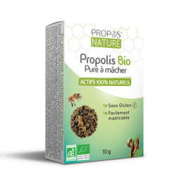 Propolis pure à mâcher 10 gr Bio - Propos'Nature - Produits de la Ruche - 1
