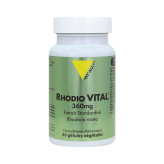 Rhodio Vital (Rhodiola) Extrait Standardisé 360mg 30 gélules - Vitall+ - 1 - Herboristerie du Valmont