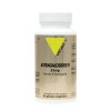 Astragalosides IV 25 mg 60 gélules - Vitall+ - 1 - Herboristerie du Valmont-Astragalosides IV 25 mg 60 gélules - Vitall+