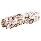 Bâton de fumigation - Sauge blanche (Salvia apiana) +/- 30 gr - Encens, Résines Traditionnelles & Fumigation - 1-Weißer Salbei (Salvia alpina) Räucherstäbchen, großes Modell