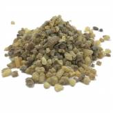 Encens Boswellia - Boswellia serrata - Gomme-résine en vrac - Encens, Résines Traditionnelles & Fumigation - 1