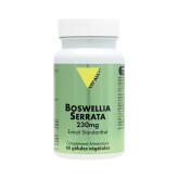 Boswellia serrata 230mg Extrait standardisé 60 gélules - Vitall+ - 1 - Herboristerie du Valmont
