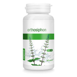 Orthosiphon aristatus 120 gélules végétales - Purasana - Gélules de plantes - 1