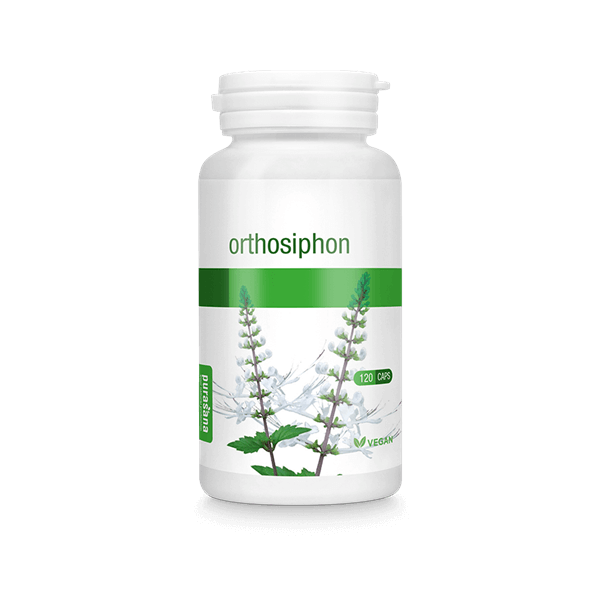 Orthosiphon aristatus 120 gélules végétales - Purasana - Gélules de plantes - 1