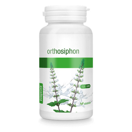 Orthosiphon aristatus 120 gélules végétales - Purasana - Gélules de plantes - 1 Orthosiphon aristatus 120 gélules végétales - Purasana - Gélules de plantes - 1