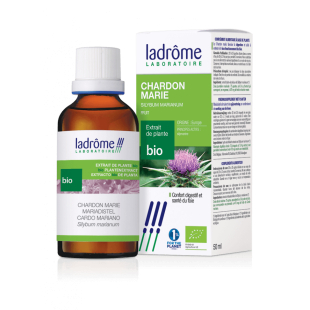 Teinture-mère Chardon Marie Bio - Silybum marianum 50 ml- Ladrôme - 2 - Herboristerie du Valmont Teinture-mère Chardon Marie Bio - Silybum marianum 50 ml- Ladrôme - 2 - Herboristerie du Valmont