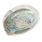 Natuurlijke abalone - XL - Abaloneschelp - Valmont Herbalist Shop - Wierook, traditionele harsen en rook - 1