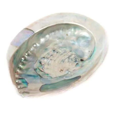 Natuurlijke abalone - XL - Abaloneschelp - Valmont Herbalist Shop - Wierook, traditionele harsen en rook - 1