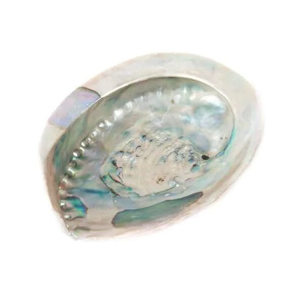 Natuurlijke abalone - XL - Abaloneschelp - Valmont Herbalist Shop - Wierook, traditionele harsen en rook - 1