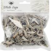 Sauge blanche de fumigation - Salvia apiana 50 grs - Green Tree - Encens, Résines Traditionnelles & Fumigation - 1