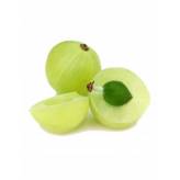 Amalaki - Fruit poudre 100 gr - Samskara - <p>Emblica officinalis - Amla - Amalaki - Antioxydant - Idéal pour maintenir la jeune