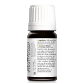 Ätherisches Wildmanukaöl 5 ml - Comptoirs & Compagnies - Manuka-Honig - 1